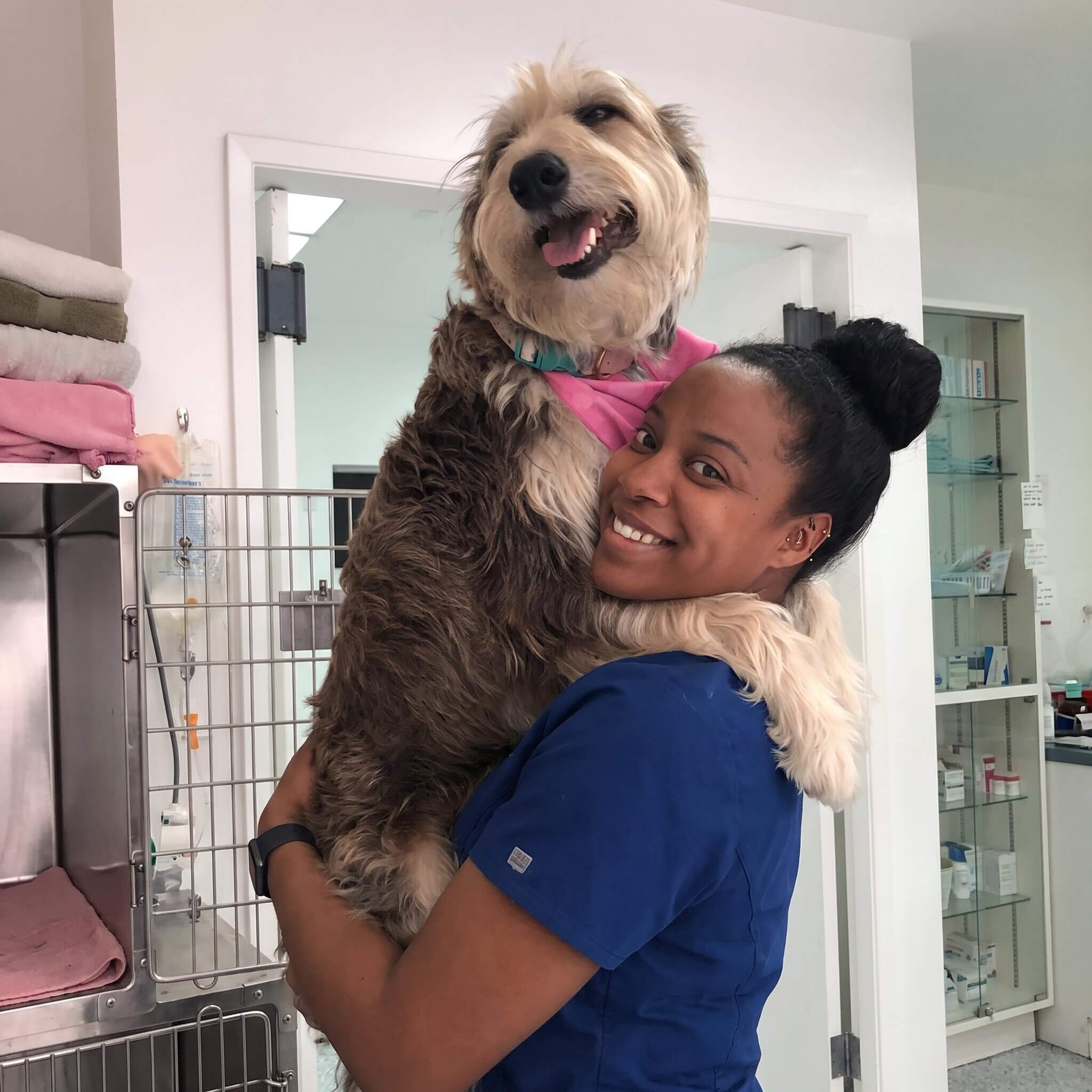 Dr. Danielle Jones, DVM, DAVDC