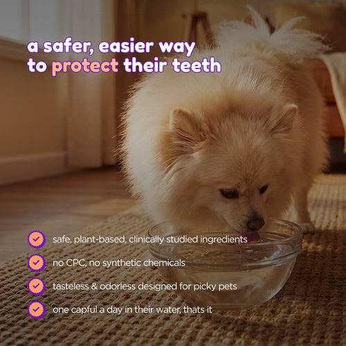 SmilePets ProDental Water Additive