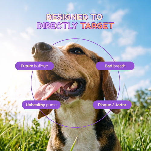 SmilePets ProDental Water Additive