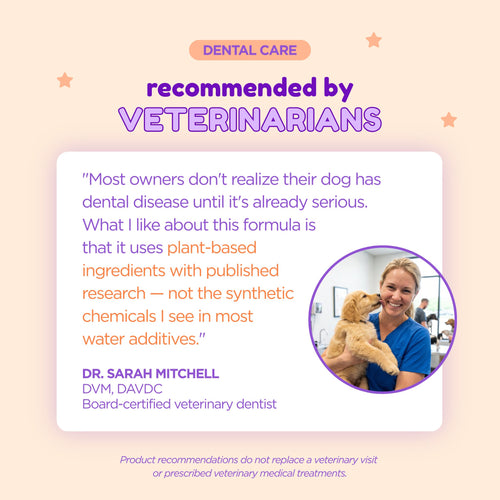 SmilePets ProDental Water Additive