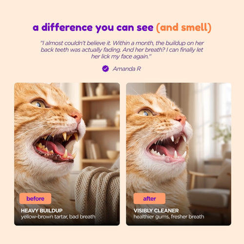 SmilePets ProDental Water Additive For Cats