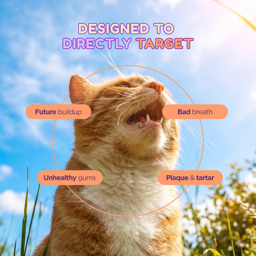 SmilePets ProDental Water Additive For Cats