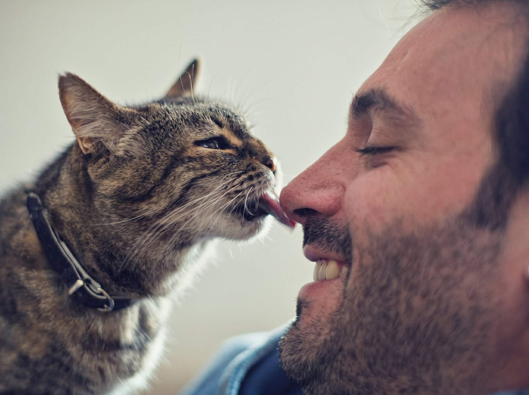 4. Cat owners who use it say one thing most. "I can finally enjoy my cat's cuddles."