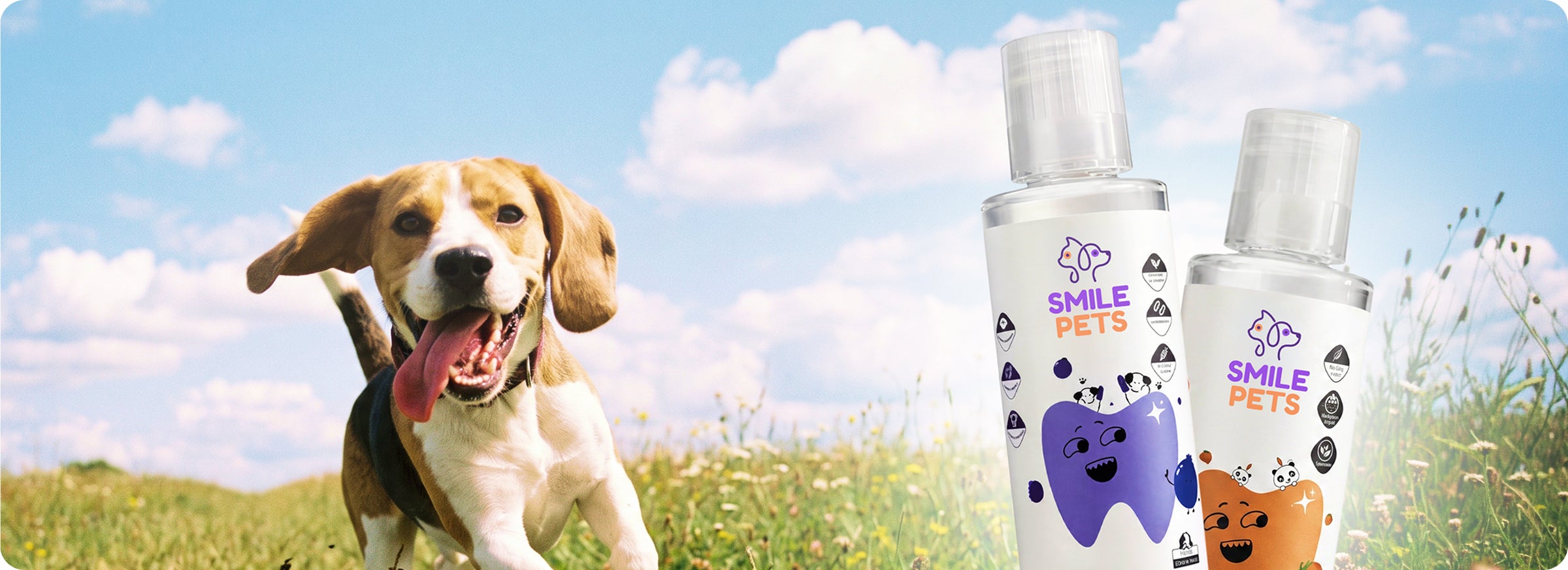 Discover the dental solution pet owners have been waiting for.