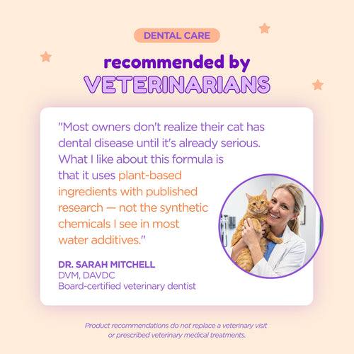 SmilePets ProDental Water Additive For Cats