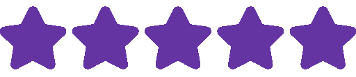 5 out of 5 stars