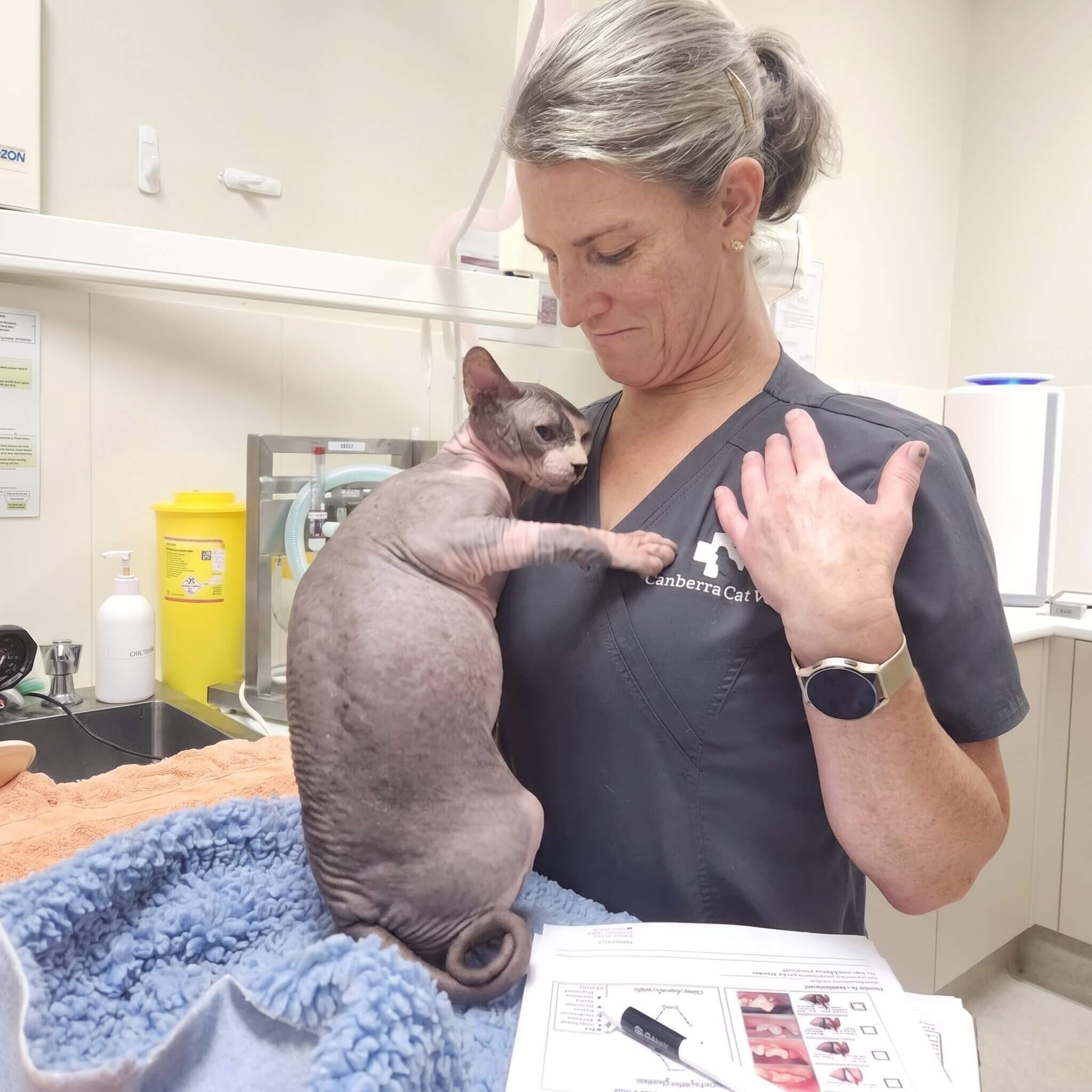 Dr. Danielle Jones, DVM, DAVDC